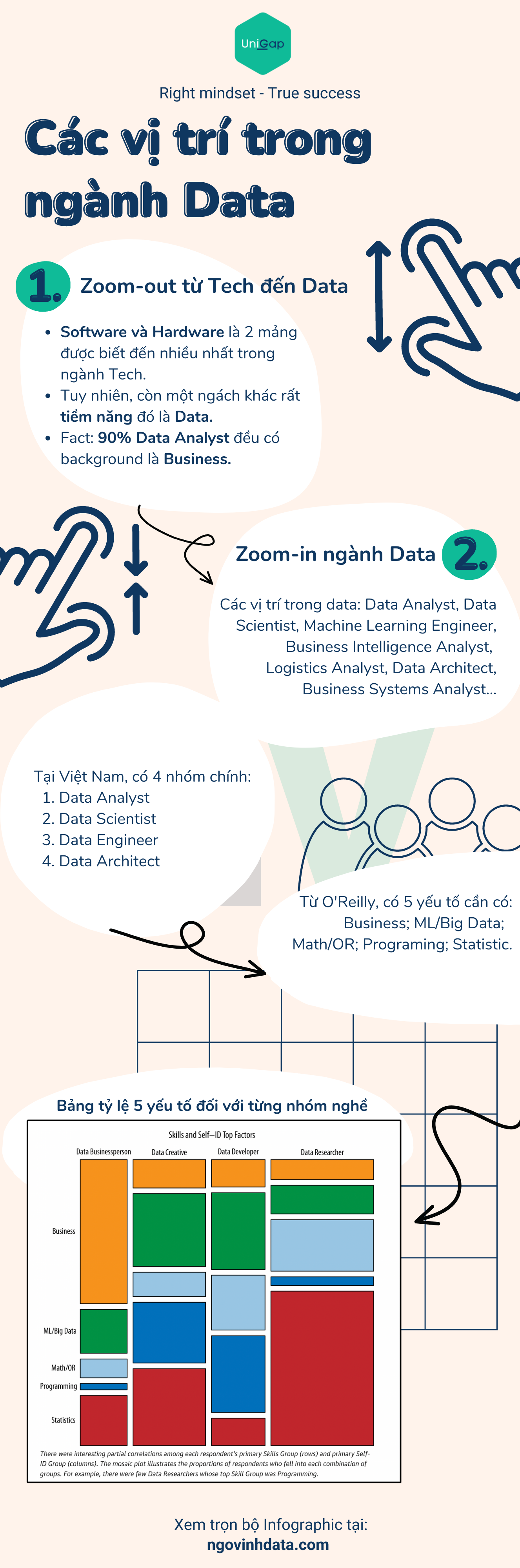 Infographic Các vị trí trong ngành Data